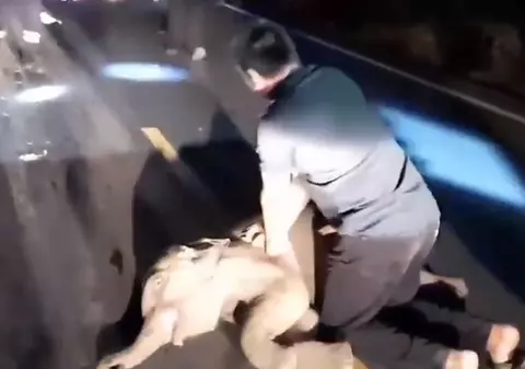 Un pui de elefant a fost readus la viaţă, după ce a fost resuscitat 10 minute