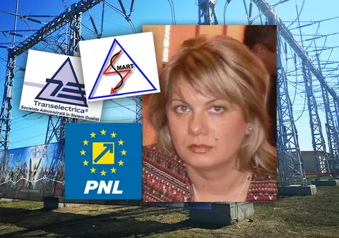 PNL a plasat o fostă șefă la piețe în Sectorul 4 director general într-o companie strategică din electricitate