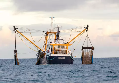 UE renunţă la 25% din cota sa de pescuit în apele britanice