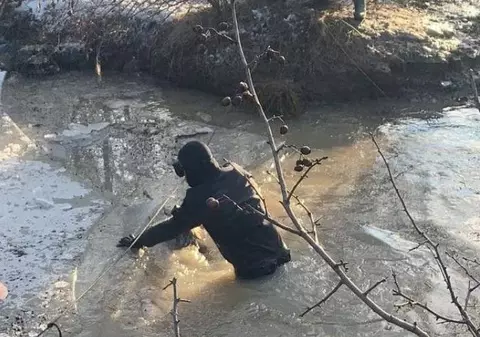 O turmă de 70 de oi a fost găsită înecată într-un pârâu din Olt. Ciobanul, dat dispărut de autorități