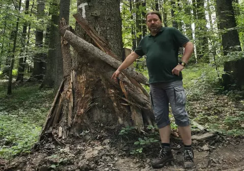 Mihai Goţiu, fost senator USR: DNA s-a apucat de lucru în dosarul care vizează tăierile ilegale de păduri din Mureş