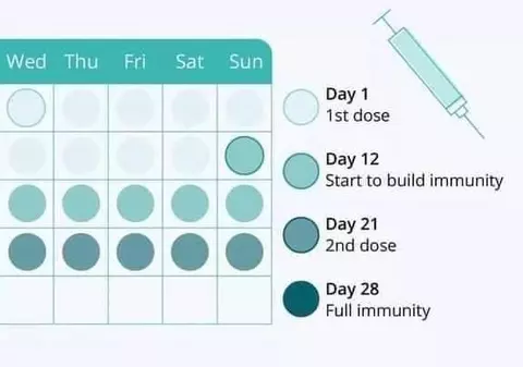 Din a câta zi după prima doză de vaccin apar anticorpii COVID