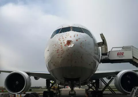 VIDEO | Un avion a aterizat de urgență după ce a lovit un stol de păsări. Cum arată aeronava după impact