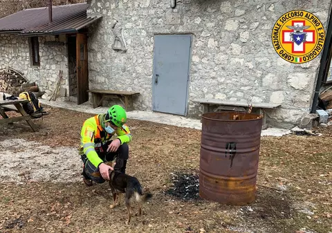 Un cățel și-a ajutat stăpânul să supraviețuiască o săptămână pe munte, după ce și-a rupt glezna