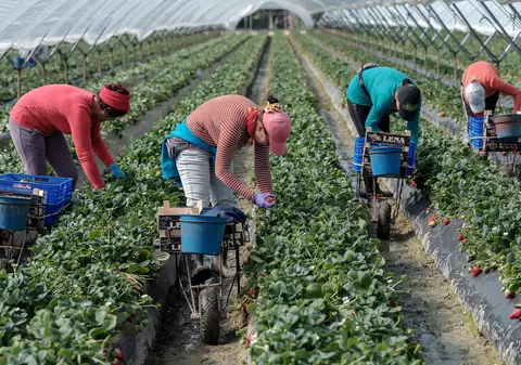 Diaspora și drama rupturii de familii. Copiii care ajung să plângă atunci când aud cuvântul „bani”