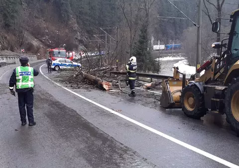 O femeie din București a murit după ce un copac a căzut peste mașina în care circula cu soțul și cei doi copii. Familia era în vacanță