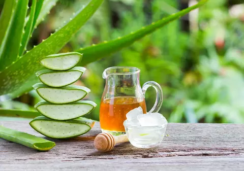 Aloe vera - beneficii și utilizări ale plantei elixir pentru sănătate