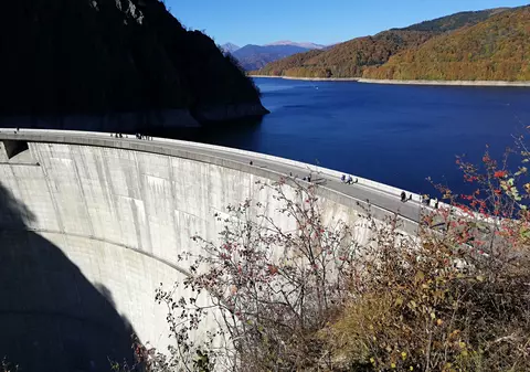 Turistă din București amendată de jandarmi, după ce a hrănit un urs lângă barajul Vidraru