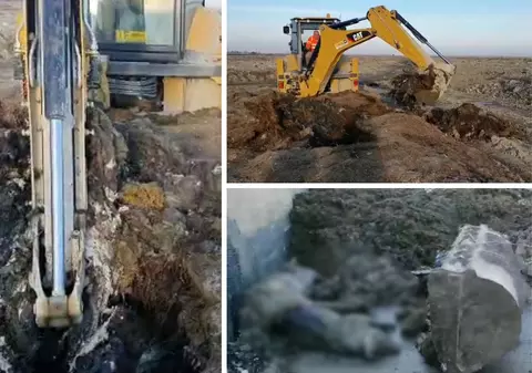 Filmări ale unei catastrofe ecologice: sute de tone de animale îngropate ilegal la Smârdan. „Luăm nişte deşeuri şi creăm plusvaloare”, zice patronul