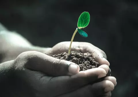 Zodiile de Pământ. Caracteristici, temperament și relația cu celelalte zodii