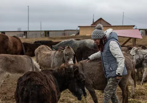 UPDATE  | Caii de la Techirghiol vor fi preluaţi de Asociaţia Măriuţa din Dolj: "Nu putem sta deoparte"