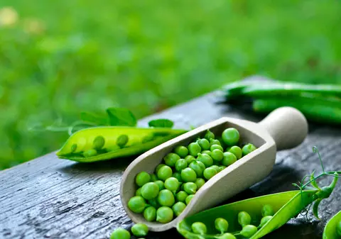 Mazăre - plantare și beneficii . Cum se păstrează și cum se gătește