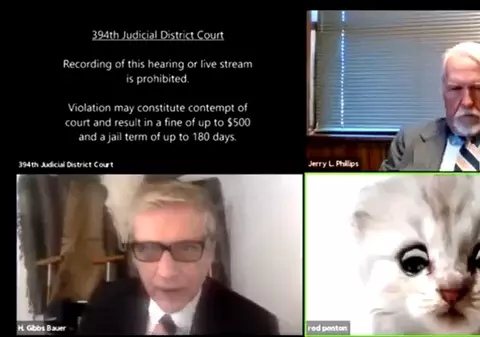 VIDEO | „Nu sunt o pisică”. Un avocat din SUA nu a reușit să scoată filtrul de Zoom într-o audiere online