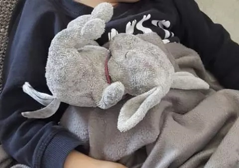 Anunțul unui băiețel de 6 ani care a înduioșat un oraș întreg. Ce oferă copilul la schimbul iepurașului de pluș pe care l-a pierdut