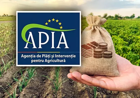 Angajata unei primării din Galați a obținut fraudulos peste 70.000 de lei, după ce a depus documente false la APIA. Ce condamnare a primit