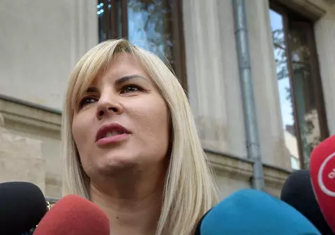 Elena Udrea, citată la Curtea de Apel în dosarul Hidroelectrica: „Sunt o țintă pentru cineva în această țară”