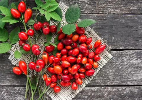 Măceșe - valori nutriționale, beneficii și proprietăți. Rețete cu măceșe