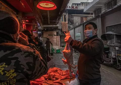 Raport preliminar OMS, după ancheta în Wuhan privind COVID-19. Cele patru ipoteze luate în calcul ca sursă a virusului