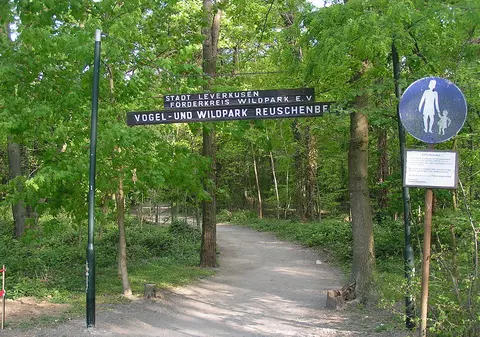 Înmormântarea liderului unui clan interlop din Germania a închis grădina zoologică din apropierea cimitirului