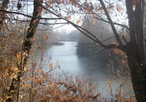 Bărbatul din Bihor care și-a ucis soția, mamă a 9 copii, și i-a îngropat cadavrul pe malul Crişului, arestat preventiv