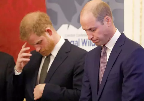 Prinţul William şi fratele său, Harry, nu vor merge unul lângă celălalt la funeraliile prințului Philip