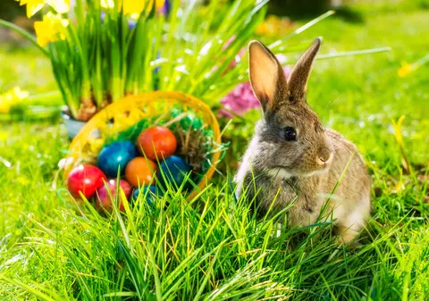 Paște 2025 - Tradiții și obiceiuri de Paște în România și în lume