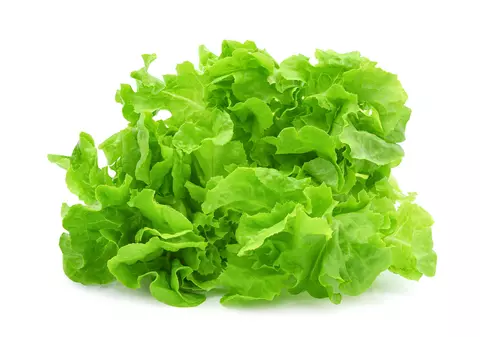 Salata verde - ce beneficii are și cum poate fi preparată. Rețete cu salată verde