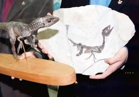 O americană susține că un pui de dinozaur i-a trecut prin curte. „Poate m-am uitat de prea multe ori la Jurassic Park”