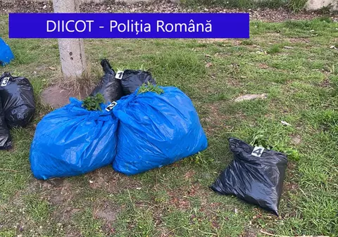Doi bărbați din Galați, prinși când aruncau trei saci cu cannabis în Dunăre