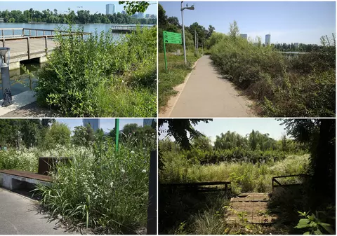 Jungla din nordul Bucureștiului. Cum au ajuns să arate două dintre „oazele de relaxare” ale Capitalei