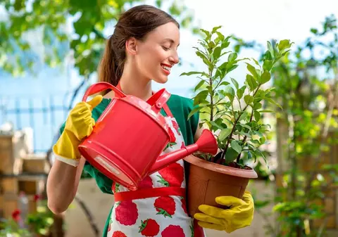 Cum uzi corect plantele și florile de apartament și de grădină pentru a le menține frumoase