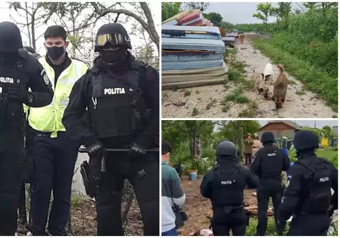 Trupele speciale au pătruns ca să prindă sute de câini şi pisici în Amzacea, dar autoritățile nu lămuresc unde le-au dus
