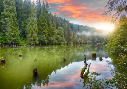 Lacul Roșu - cum ajungi la el și ce poți face în zonă