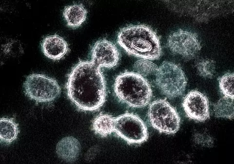 STUDIU | Asia de Est a mai trecut printr-o pandemie de coronavirus în urmă cu 20.000 de ani