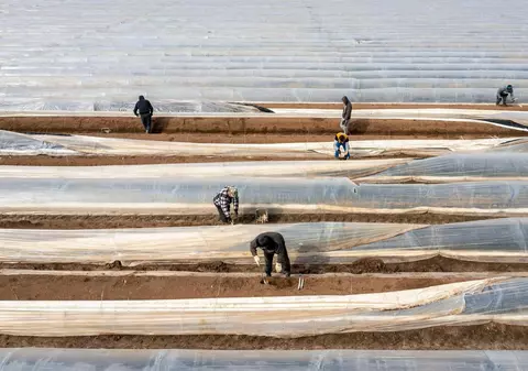Deutsche Welle: Românii fac în Germania munca grea refuzată de nemți. "E mai bine decât în România”