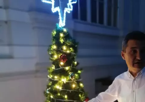 Primarul Aradului studiază modele de brazi în mijlocul verii: „N-a venit Crăciunul, dar ne pregătim”