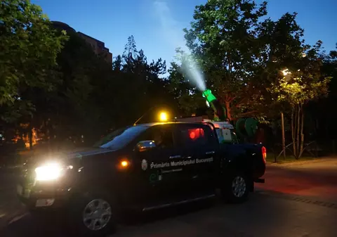 Primăria Bucureşti anunţă un nou tratament de combatere a ţânţarilor