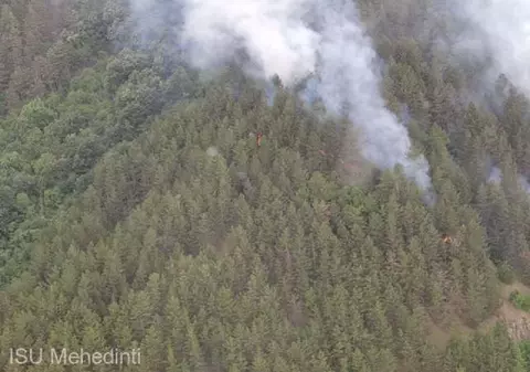Incendiu într-o pădure de conifere din Parcul Natural Porţile de Fier