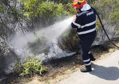 Incendiu de vegetație în Dâmbovița. Șoferii care circulau pe autostrada A1 au sunat la 112
