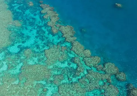 Marea Barieră de Corali ar trebui adăugată pe lista patrimoniului mondial UNESCO a siturilor aflate „în pericol”, arată un raport al ONU