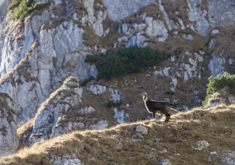 Parcul Natural Bucegi  - unde se află și ce activități poți face. Trasee și obiective turistice