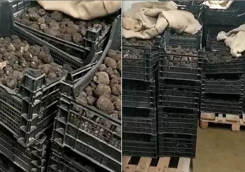 Peste o tonă de trufe, confiscată de la un cetățean italian de polițiștii din Neamț