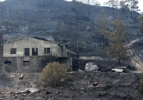 Cipru se confruntă cu „cel mai grav incendiu forestier din istorie”. Un prim bilanț: patru morți