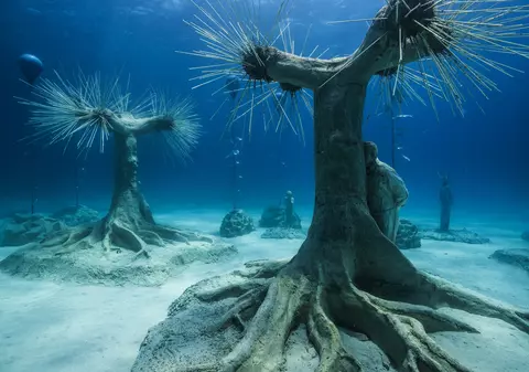 Primul muzeu subacvatic din lume a fost deschis în Cipru. Cum arată și cât costă o vizită