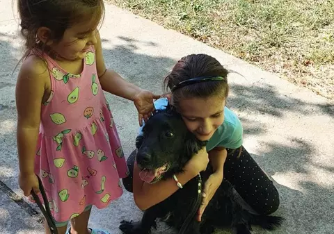 Momentul emoționant în care două fetițe din Arad își regăsesc cățelul pierdut acum un an