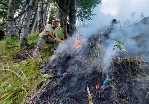 Incendiu de pădure în Munţii Căpăţânii. Patru hectare de copaci tineri au fost cuprinse de flăcări