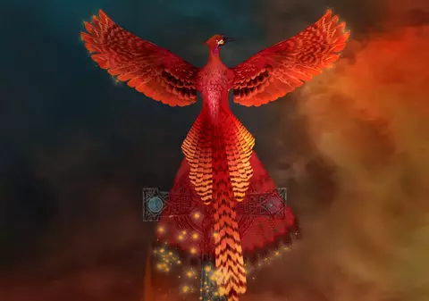 Pasărea Phoenix – legenda păsării care reînvie din propria cenușă