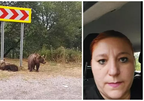 Diana Șoșoacă, întâlnire cu urșii pe Transfăgărășan: „Sunt periculoși chiar dacă sunt mici”