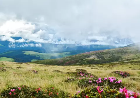 Stațiunea Păltiniș - ce poți face în cea mai veche stațiune din țară