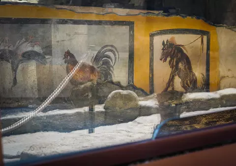 Cum arăta un snack bar din orașul antic Pompeii. Va fi deschis în curând pentru turiști